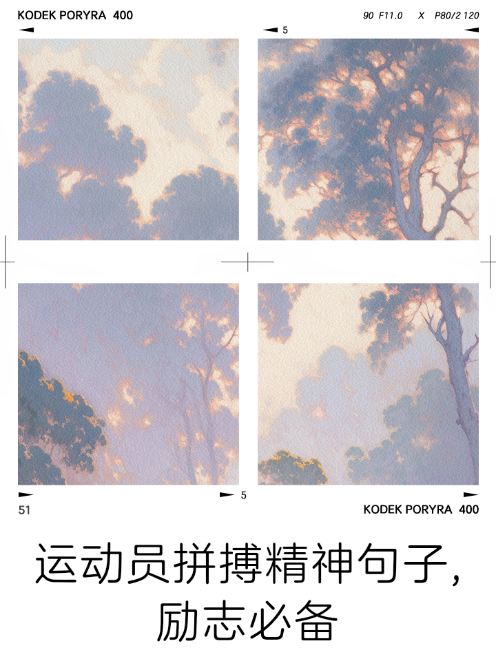 运动员的拼搏精神感染了所有人